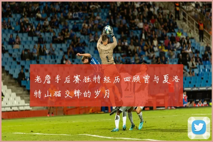 老詹季后赛独特经历回顾曾与夏洛特山猫交锋的岁月