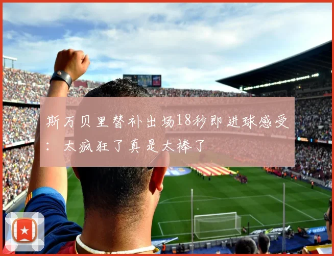 斯万贝里替补出场18秒即进球感受：太疯狂了真是太棒了